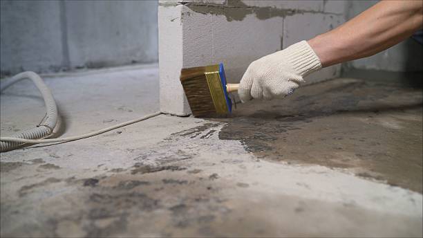 24/7 Emergency Crawl Space Encapsulation experts in Solsberry, IN